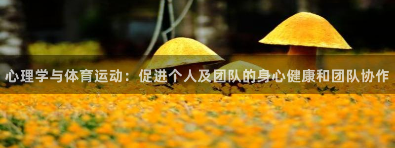 风速体育app下载官网最新版：心理学与体育运动：促进个人及团队的身心健康和团队协作