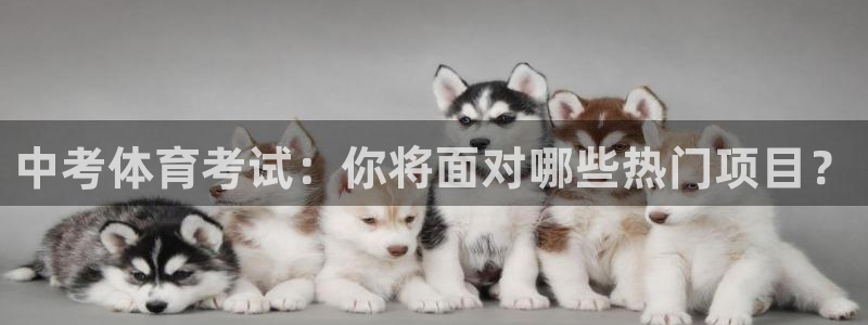 风速体育app下载官网最新版：中考体育考试：你将面对哪些热门项目？