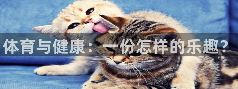 风速体育app下载官网最新版：体育与健康：一份怎样的乐趣？