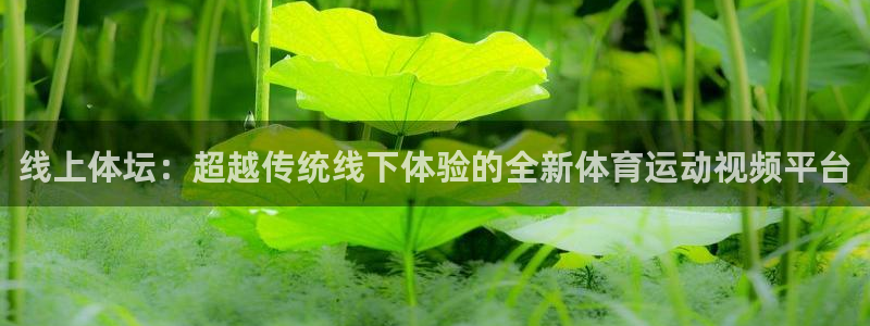 风速体育nba直播