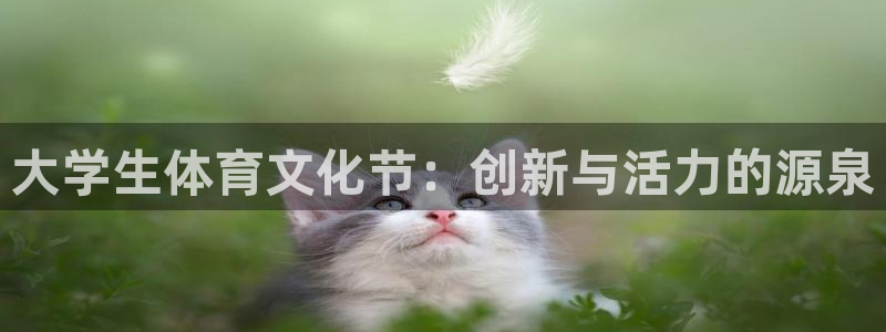 风速体育直播app：大学生体育文化节：创新与活力的源泉
