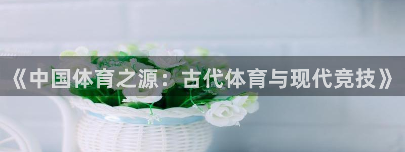 风速体育nba直播