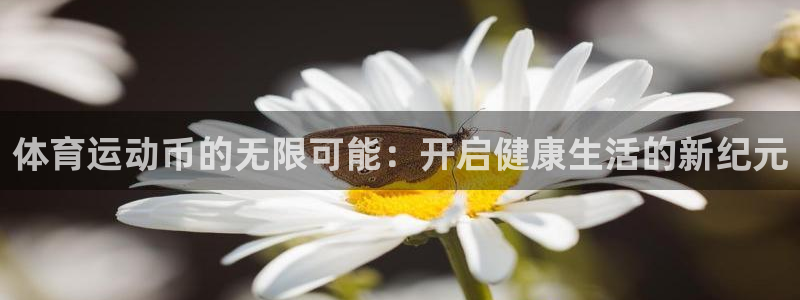 风速体育nba直播：体育运动币的无限可能：开启健康生活的新纪元