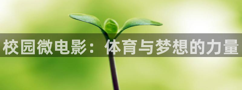 风速体育app下载官网最新版