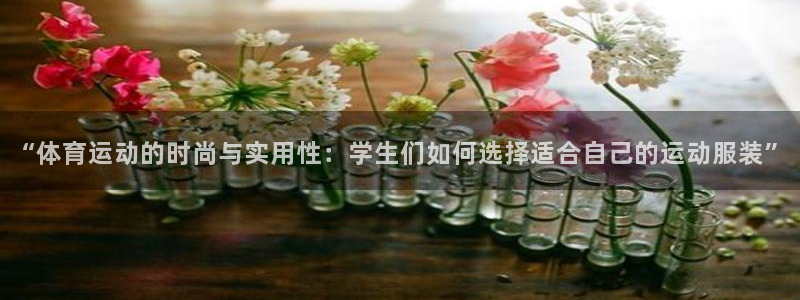 风速体育官网：“体育运动的时尚与实用性：学生们如何选择适合自己的运动服装”