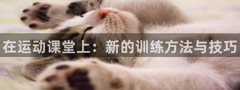 风速体育直播：在运动课堂上：新的训练方法与技巧
