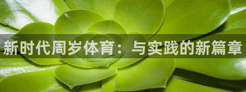 风速体育