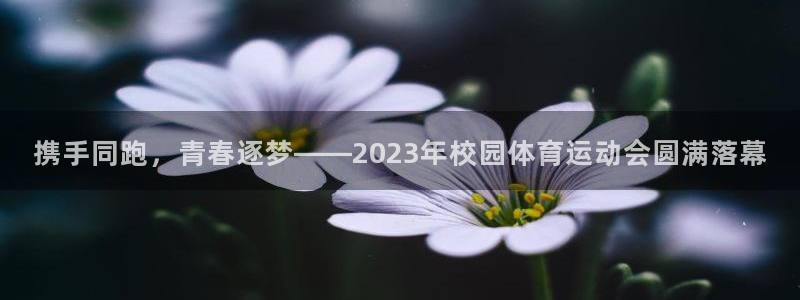 下载风速体育