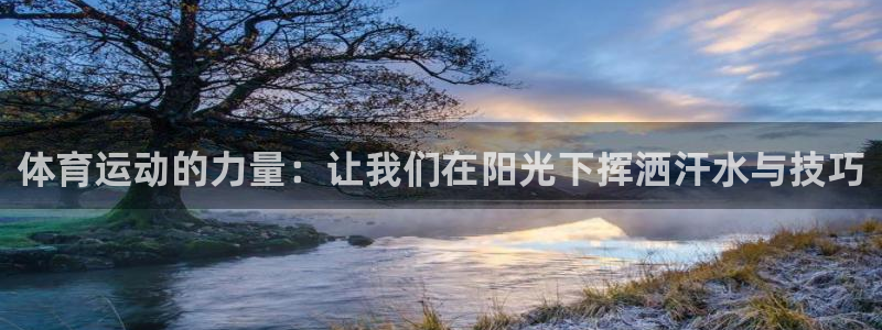 风速体育直播app：体育运动的力量：让我们在阳光下挥洒汗水与技巧