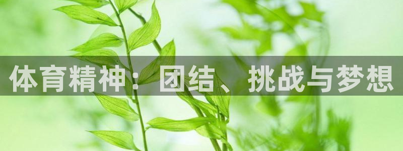 风速体育app：体育精神：团结、挑战与梦想